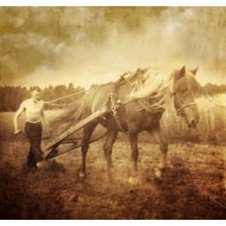 JOUTOMIES ALEKSEI CD